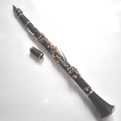 17 Keys ABS Clarinet Cheap Price Musical Instruments