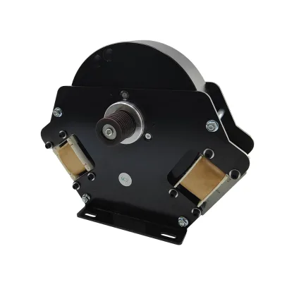 Factory Wholesale Customized Professional Commercial Indoor Treadmill Bilateral Reluctance Motor Parts