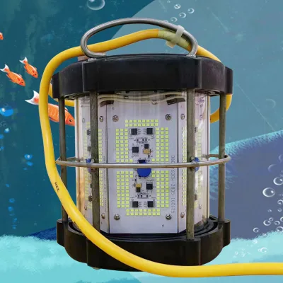 Electric Fishing Bate Deep Sea Marine Commercial Fishing 1000 Wattled Light Under Water Light for Fishing Stainless Steel