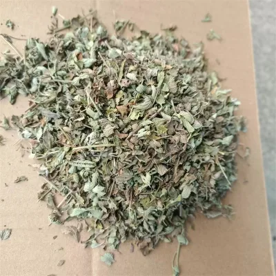 Wholesale Catmint to Help Digest Cat Snacks Nepeta Cataria Catnip