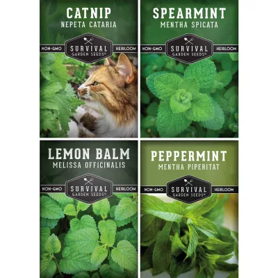 Wholesale 4 Variety Peppermint Spearmint Lemon Balm Catnip Seed Set for Ecommerce Herb Seed Variety Pack