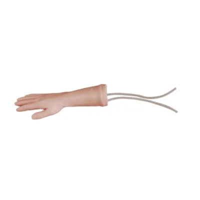 Medical Science Nursing Manikin Venipuncture Training Model IV Training Hand and Arm Model for Teaching