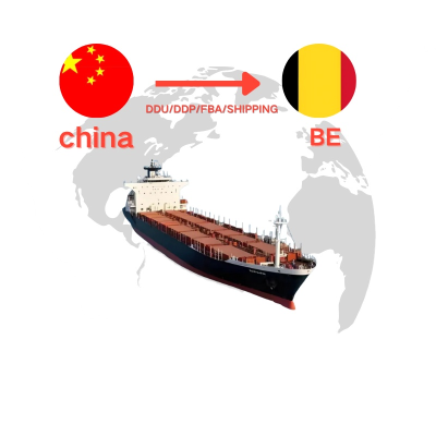 Belgium Sea Freight FCL LCL Shipping Logistics Services Door to Door Transport Fast Affordable Reliable