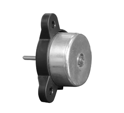 Toyon 12V 24V DC Motor Factory DC Permanent Magnet Brushless Dc Motor