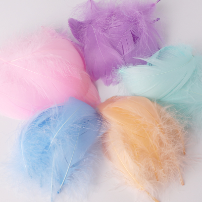 Wholesale High Quality Natural Washed Dyed Colorful Goose Feather For Decoration