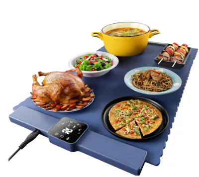 Multi-functional Electric Portable Hot Plate with Coil Heating for Hot Dishes and Milk Tea Warming Temperature Control