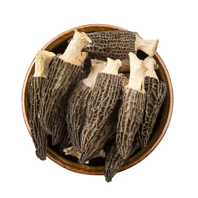 Wholesale High Grade Wild Dried Morel Mushroom | Premium Morchella Esculenta | High Quality Morels for Sale