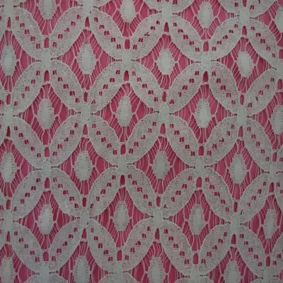Fashion Knitted Cotton Nylon Lace Fabric for Lady's Dress