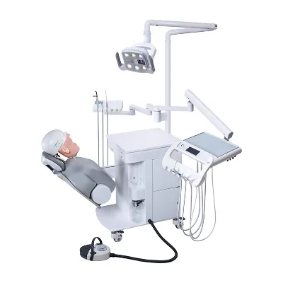 High Standard Dental Simulation Clinic Teaching Simulador System Dental Training Simulator with Head