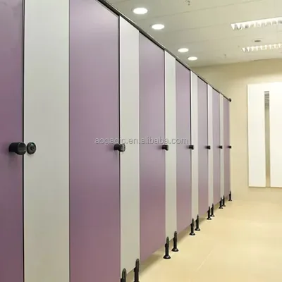 Office Building 12mm Hpl Laminate Modern Gym Room Shower Toilet Cubicles AOGAO