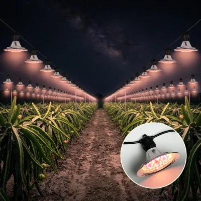 Dragon Fruit Fill Light15w Full Spectrum Grow Light for Pitahaya Vegetable Bulb Off-season Dragon Fruit Light with Shield