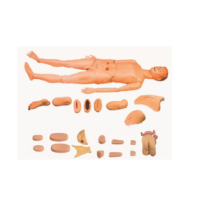 Skin Color Hot Sale Medical Science Chinon Male Multifunctional Trauma Nursing Care Manikin
