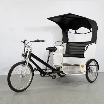 ESTER Unique Electric Pedicab With LED Lights, Upgrade Parts Every Year