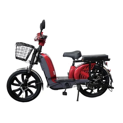 Electric Courier Bike Electric Bicycle Prices in Pakistan for Wholesales