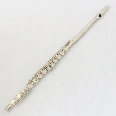 16 Holes E Mechanism Flute Wholesale Flute Instrument Close Hole for Beginners