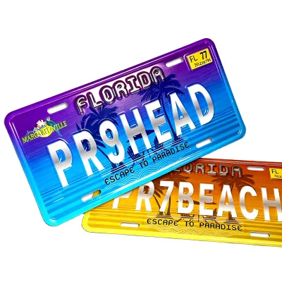 Custom Embossed 3D Aluminum License Plate Florida Beach Tropical Paradise Palm Tree Ocean Sunset Souvenir Waterproof Decor