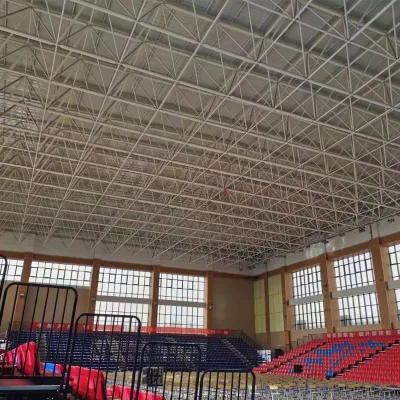 China Manufacturer Steel Structure Building Steel Structure Space Frame System for Gym Roof
