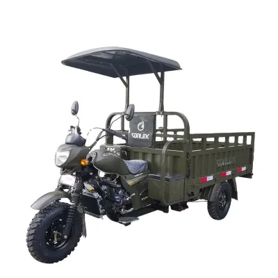 African 5 Wheel  Heavy Loader Truck Customization 200cc 250ccgasoline Engine Cargo Tricycle With Dumper