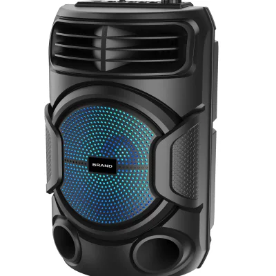 Wholesale Price Portable Speakers  8 Inch Subwoofer Speaker With Mic FM Radio Outdoor Speaker