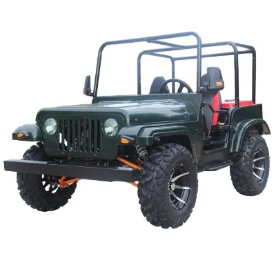 Gasoline UTVs for Adults and Children Special Transportation Cart for Sale