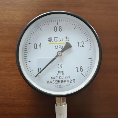 High Quality Pressure Gauge to Ammonia
