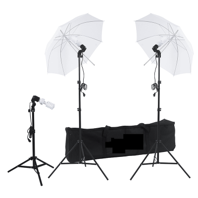 JingYing Factory Price Cheap Photography Photo Studio Lighting Kit with Light Bulb