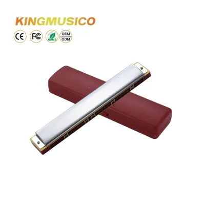 Fashion Style 24-Hole Personalized Colorful Harmonica - Blues Education Toy Harmonica for Creative Music Learning