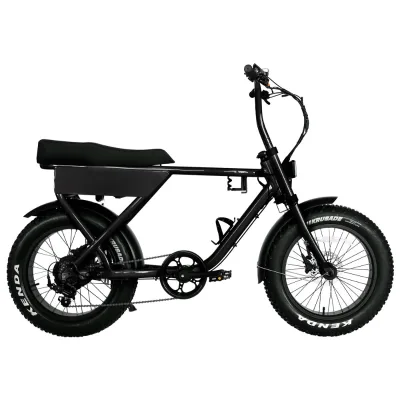 Fatbike 1000w Ebike 48v 10Ah 20ah Chopperbike