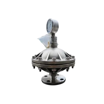 China high quality stainless steel diaphragm Pulsation Damper DN15 to DN50 membrane SS304/316 Pulse Damper for diaphragm pump