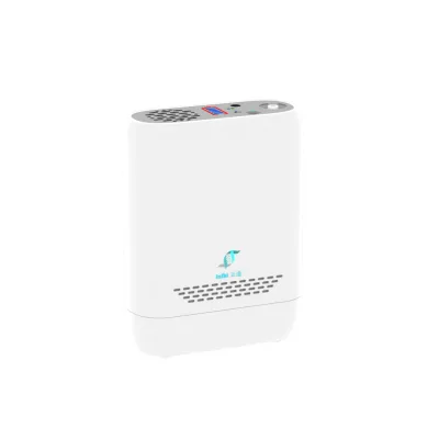 Portable Oxygen Therapy Device High Altitude Nebulizer System with Oxygen Concentrator