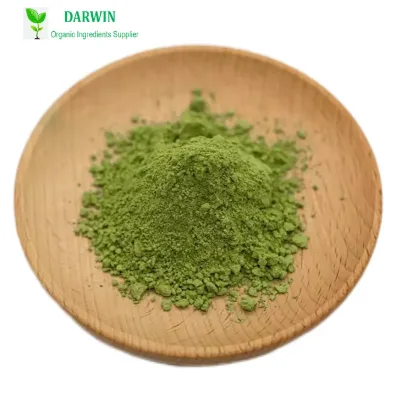 High Quialty Green  Barley Grass Juice Powder Barley Grass  Powder Organic