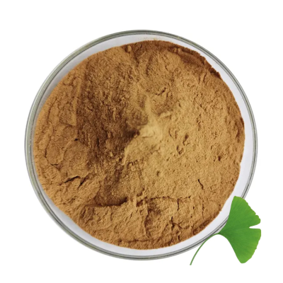 Factory Supply Ginkgo Biloba Leaf Extract Powder 24% Flavones Ginkgo Biloba Extract