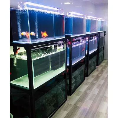 Customizable Durable Ultra clear Glass Aquarium with Efficient Filtration System