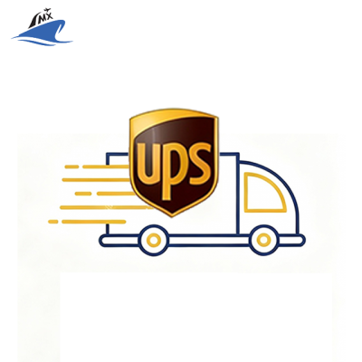 Ups Dhl Door to Door Delivery with Air Sea Shipping China to USA Canada Europe Express Courier Service