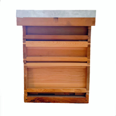 Beekeeping Tools Wholesale UK National Standard Ten Box Beehive China Beekeeping Equipment Wholesale Supplier