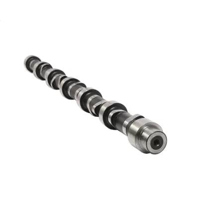 High Quality New Camshaft 1007408 for Engine Part
