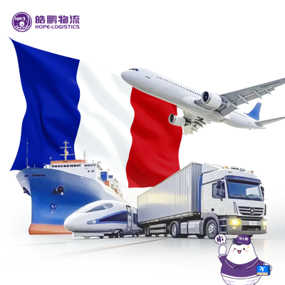 High - Quality Freight Forwarder Offer Sea Freight Solutions for Trade Logistics Services to France Shipping Agent