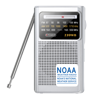 Best Mini AM/FM Multi Band Internet Radio with NOAA Weather Band and Auto Search