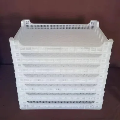 Food Grade HDPE Plastic Freezing Tray Stackable Mesh Tray for Shrimp Salmon Tilapia Seafood Blast Freezing