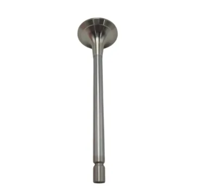 Hot Sale Engine Poppet Valve A4570500327 for Benz Truck