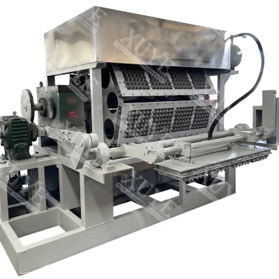 Chinese Factory Fruits Tray Making Machine with High Quality