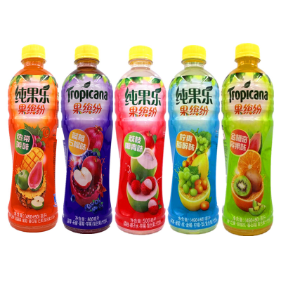 Factory Wholesale Drinks 500ml *15 Can OEM ODM High Quality Products Juice Fruit Drink Ready-to-drink Beverages