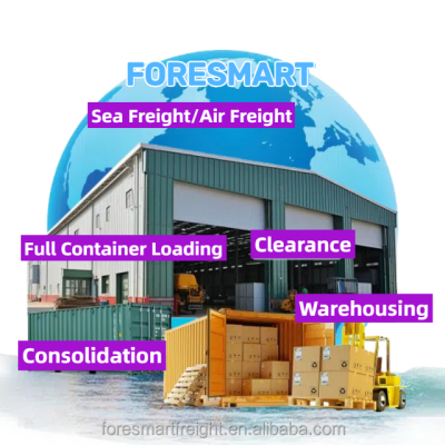 Cargo Sea Shipping Venezuela China Consolidation Service Martinique Logistics Provider