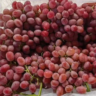 Good Farm Fresh Fruit Grape on Sale Sweet Red Grape Seeded Crimson Grape