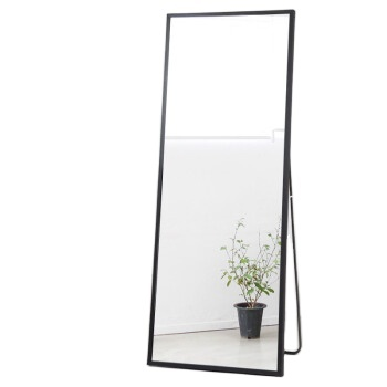 Full Length Mirror Floor Mirror Standing Wall Mounted