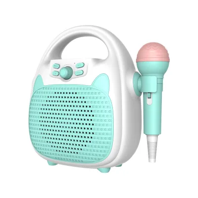 Toy Karaoke Machine for Kids Wireless BT Speaker with Microphone TF/USB Portable Flashing Lights Singing Mic Machine for Boys