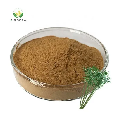 Factory Supply 10:1 Bamboo Extract Organic Bulk Bamboo Leaf Extract Powder