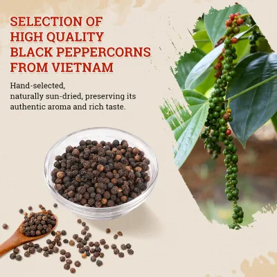 Haccp Certification Bulk Black Pepper for Food Production Black Pepper Black Peppercorns Ground Black Pepper