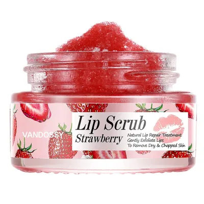 Custom Multi Flavor Private Label Lip Scrub Sugar Lip Scrub Lip Scrub Wholesale