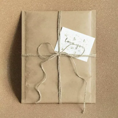 Reusable Tear Strip Honeycomb Paper Padded Fully Degradable Kraft Paper Mail Package Document File Mailing Envelope Bags